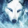 BlackWolf