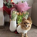 Зузи