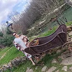 Божана