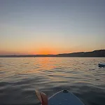 Tedi_beri