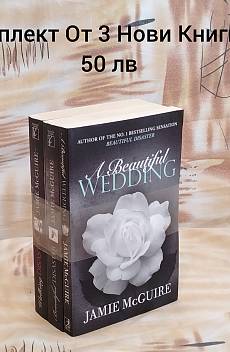 Книга Beautiful Disaster