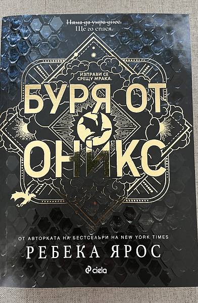 Книга Буря от оникс
