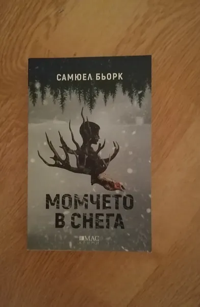 Момчето в снега