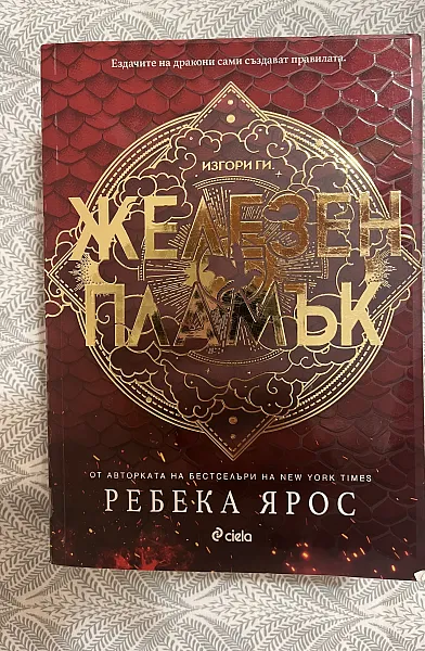 Книга Железен Пламък