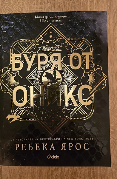 Книга Буря от оникс