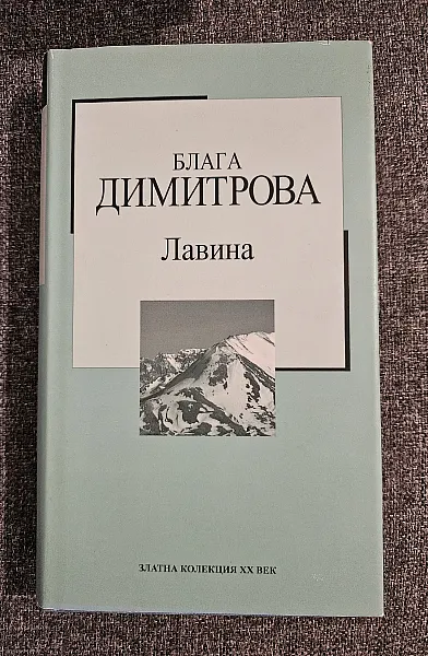 Книга Лавина
