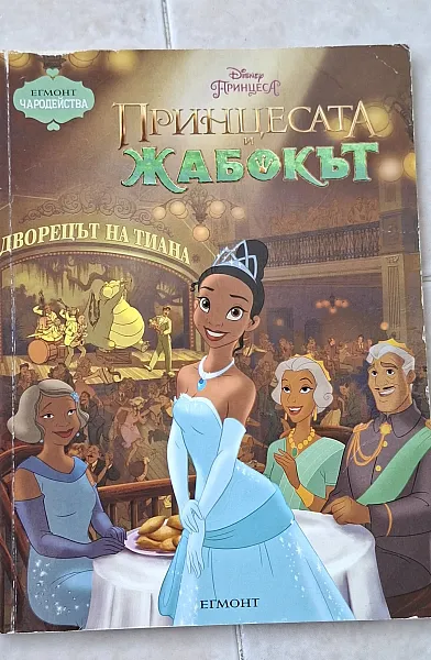 Книга Принцесата и жабокът