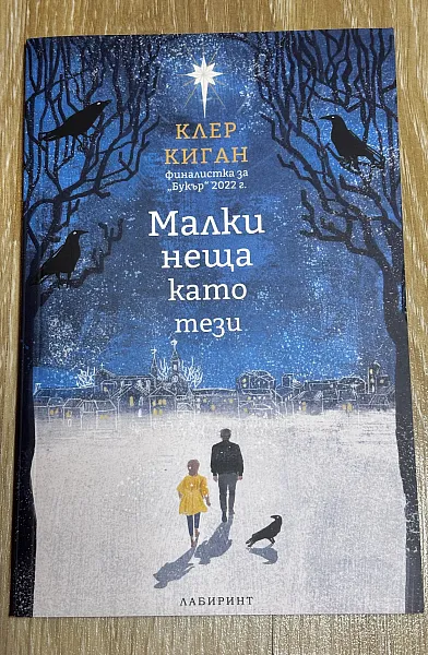 Книга Малки неща като тези