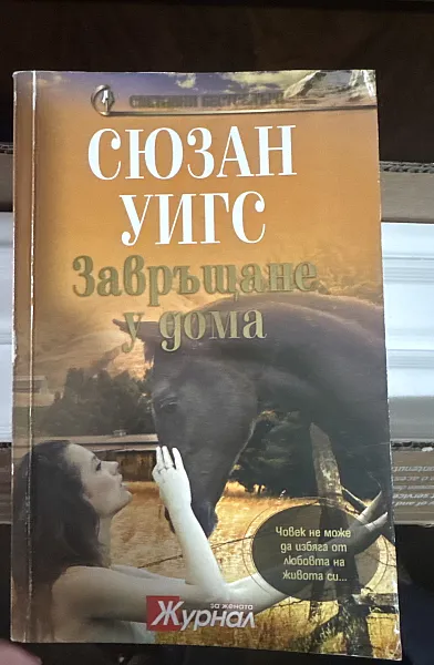 Завръщане у дома
