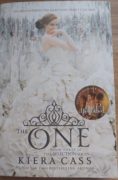 Книга The One