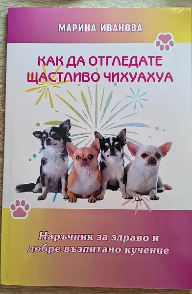 Как да отгледате щастливо чихуахуа