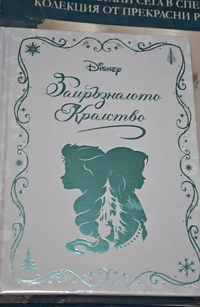 Книга Замръзналото кралство