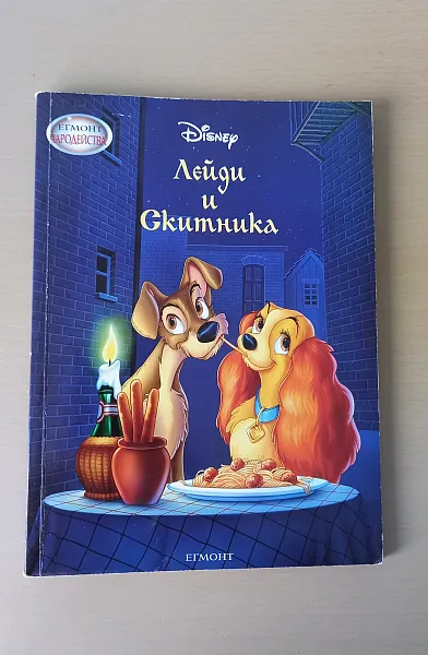 Книга Лейди и скитника