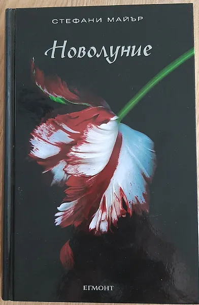Книга Новолуние