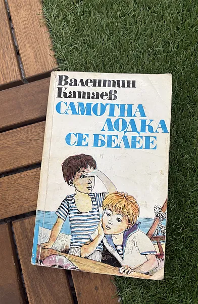 Книга Самотна лодка се белее