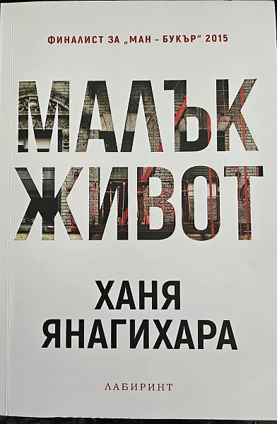 Книга Малък живот