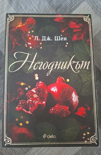 Книга Негодникът