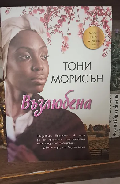 Книга Възлюбена