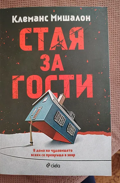 Стая за гости