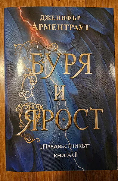 Книга Буря и ярост