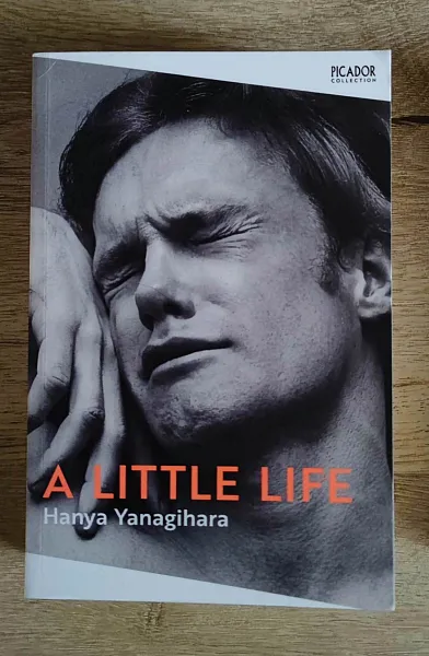 Книга A Little Life