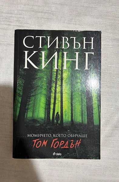 Книга Момичето, което обичаше Том Гордън