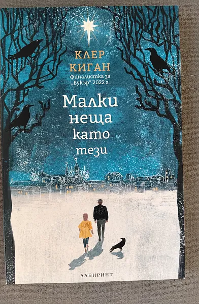 Книга Малки неща като тези