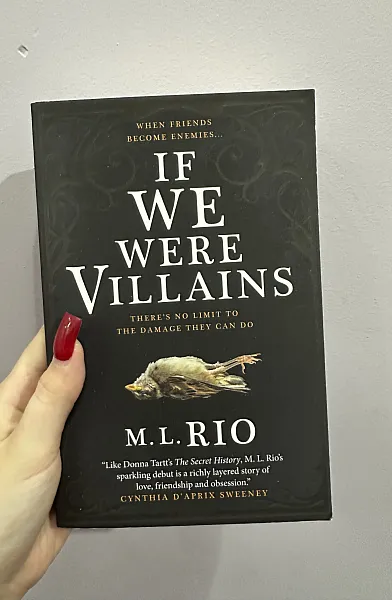 Книга IF WE WERE VILLAINS