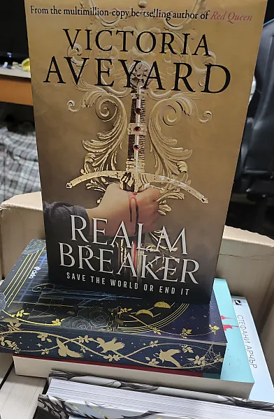 Книга Realm breaker